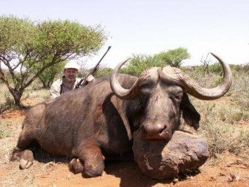 South Africa Cape Buffalo Hunt - Discount African Hunts