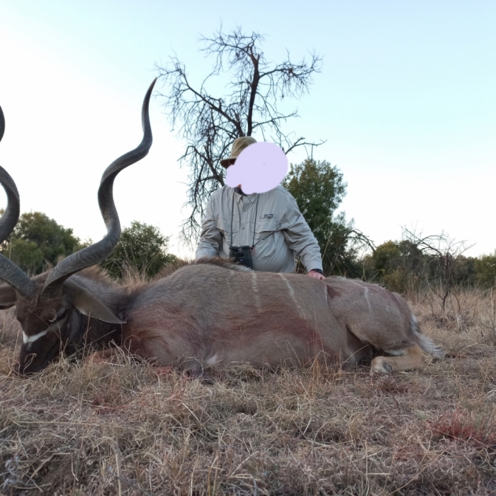 Hunt Trophy antelopes in Limpopo at management hunt prices